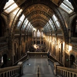 visite immersive musée interactif visiteur lumière